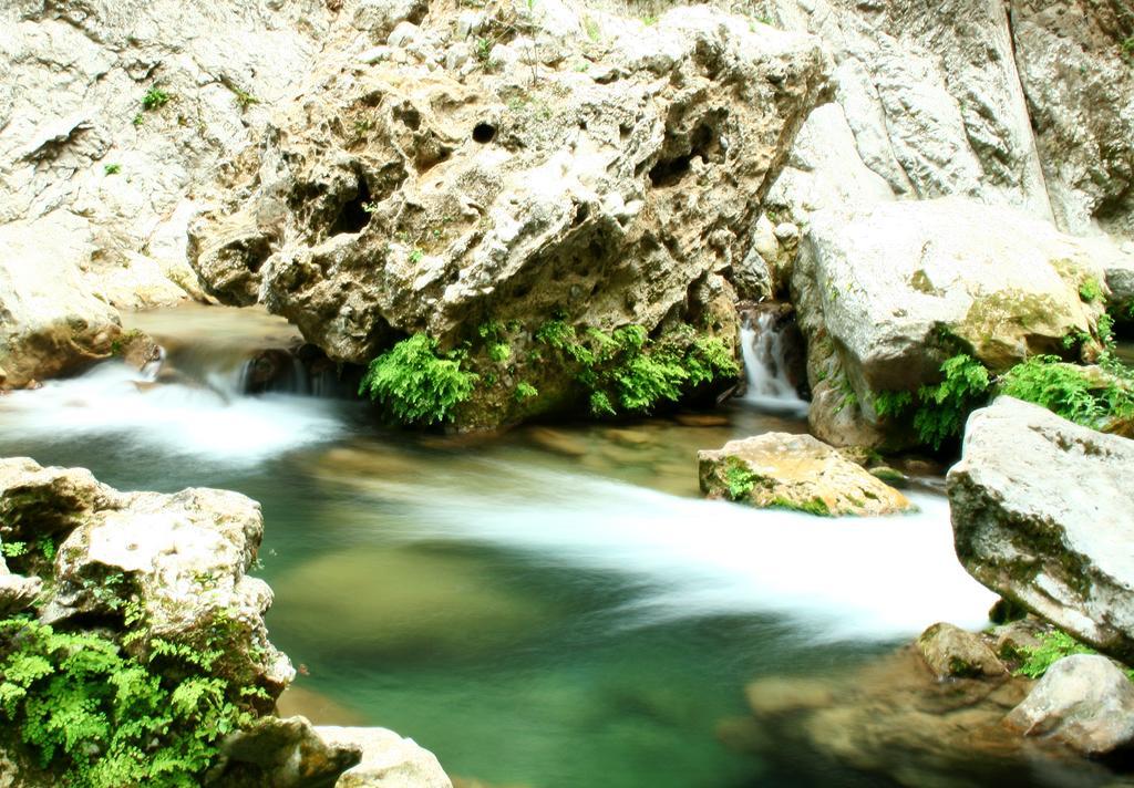 Dar Meziana Bed and Breakfast Chefchaouen Εξωτερικό φωτογραφία