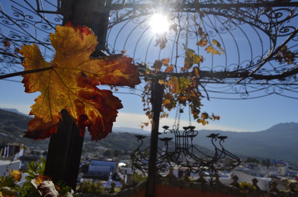 Dar Meziana Bed and Breakfast Chefchaouen Εξωτερικό φωτογραφία